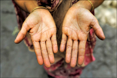 中日對照讀新聞》指が5本になる謎を東大グループが解明 日東大研究團隊解開5指之謎
