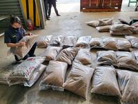 史上最大宗大麻走私案 409包大麻花藏在木屑粒貨櫃