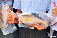 獨家》台灣廠商輸中註冊登錄文件首曝光 廠商：給不給過看中國心情