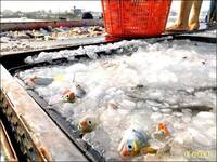 中國以註冊卡台灣產品 行政院經貿辦：WTO並無認可