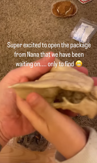 驚喜變驚嚇！收到阿嬤耶誕禮物  內容物竟被人換成巫術用動物頭骨