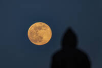 住在月球上 日大學研究 加速「阿提米絲計畫」進展