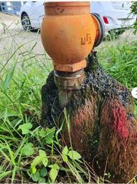 血紅神秘毛團吞沒消防栓 澳洲專家：沒見過這種生物