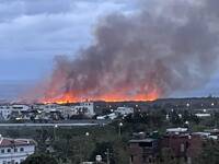 台東知本濕地野火燎原 風勢助長綿延數公里