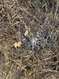 沙鹿公墓掃墓引發火災  消防空拍蒐證2人被逮