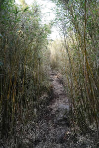 能高安東軍山難》2美籍女隊員：下山前才知出事