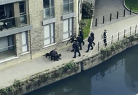 英國飼主與7警對峙 2隻愛犬遭當場射殺