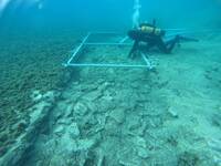 克羅埃西亞水下考古 發現7千年前新石器時代聚落和「人工通道」
