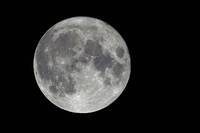 地球多1顆類月球？ NASA發現繞行地球2100年「神秘小行星」