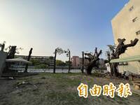 台南綠地遭「斷頭式」修樹 南區公所：監督不周自請處分