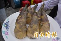 綠竹筍價格高   煮一鍋竹筍排骨湯得花300多元