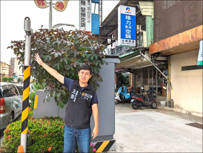 垂楊路2「小綠人」消失 長幼通行怕怕