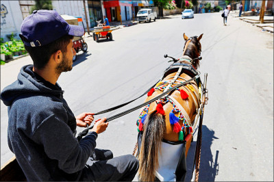 中英對照讀新聞》’Horse diapers’ keep Gaza streets clean「馬尿布」保持加薩街道清潔