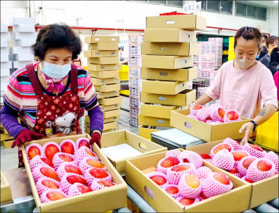 拓展中國以外市場 亮佳績！／上半年水果外銷 年增一至五成