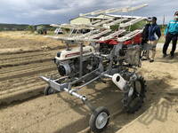 恆春半島洋蔥面積大減 農改場引進自動化機械解決缺工
