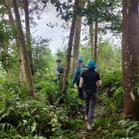 42人登山團神仙縱走 遇「殺人虎頭蜂」竄出8人被蜂螫