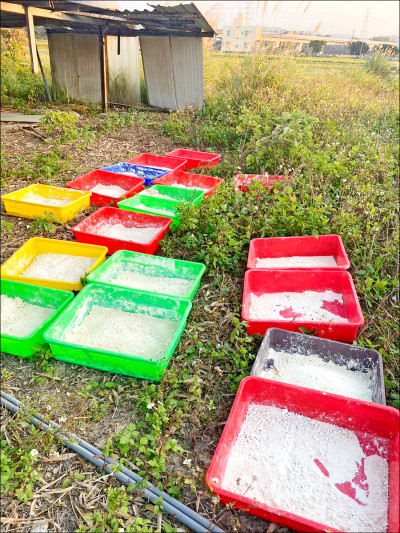 警扮農夫 破山坡製毒廠 起獲黑市5億元喵喵「喪屍藥」