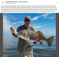 解謎？美佛州神秘噪音擾民多年 科學家：魚在交配