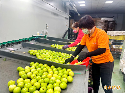 《高雄》農民拓展外銷市場 獎勵最高50萬