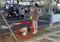 噁爛！中國女遊客放任兒子「當街脫褲拉屎」 南韓民眾氣炸報警