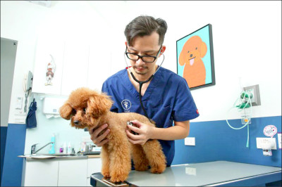 中英對照讀新聞》New Vaccine Can Temporarily Neuter Dogs For a Single Year 新疫苗可讓狗狗暫時絕育1年