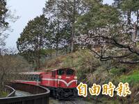 天兔颱風來襲 全國交通、活動異動、景點關閉一次看（不斷更新）