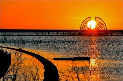 《蛇來運轉走春趣》漫步青鯤鯓扇形鹽田 拜訪「生命之樹」