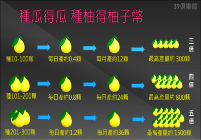 搞柚子幣詐2千人 扶輪社長收押