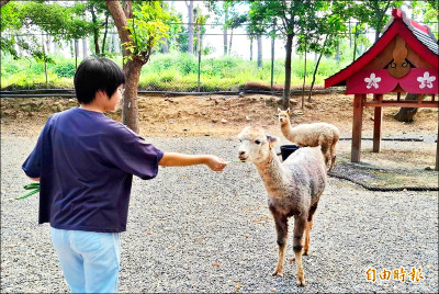 暑假親子自駕遊 嘉義推20條遊程