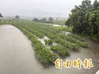 暴雨重創中南部！8/5停班停課一次看（不斷更新）