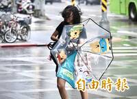 楊柳颱風掃過 8/14停班停課一次看