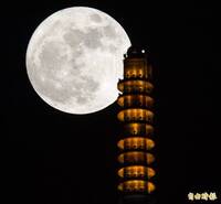 LTN投票箱》賞月少了它就不行  中秋節必吃的食物是？