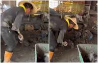 眼眶濕了！光復災區出現「獨臂超人」 默默清淤動作超俐落