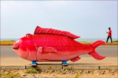 中英對照讀新聞》Ghana’s fantasy coffins are a colorful celebration of life and legacy 迦納的夢幻棺材是對生命和遺產的多采慶祝