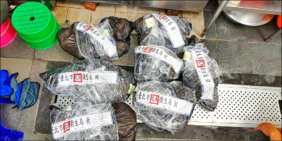 屏東黑心豬腸流市面 石崇良：盤點食品製程化學物質