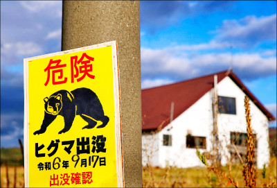 中英對照讀新聞》Brown bear drags hiker into Japanese forest 棕熊把登山客拖進日本森林裡