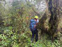 宜蘭阿玉山傳2山友失聯 警消趕「風神」來襲上山搜索