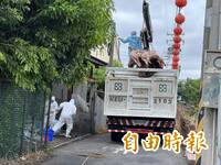 非洲豬瘟》防檢署1月疾呼別刪宣導預算  仍遭藍白狂砍6成