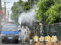 非洲豬瘟防堵7年滴水不漏 政府應變大事記一次看