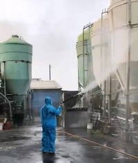 彰化芬園養豬場豬隻暴斃  檢體採驗結果出爐