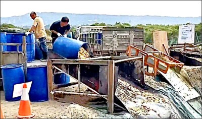 自由日日Shoot》專家示警:野豬若染非洲豬瘟 台灣恐永遠淪疫區 自由日日Shoot》專家示警:野豬若染非洲豬瘟 台灣恐永遠淪疫區