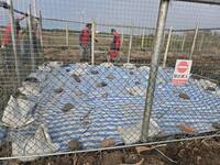 鳳凰颱風恐攜大風雨 盧秀燕：依中央指示在掩埋場加固且釘鉚釘