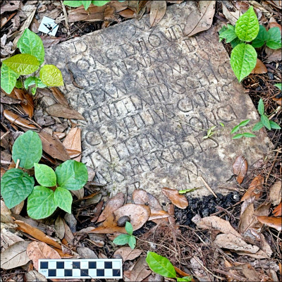 中英對照讀新聞》A long-lost ancient Roman artifact reappears in a New Orleans backyard 1件失落已久的古羅馬文物 重新出現在紐奧良的後院