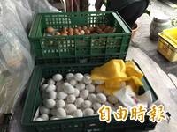 怕買到毒雞蛋! 「市場散裝蛋」怎麼查？ 資深菜販曝「1冷知識」