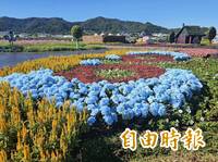 鳳凰遠颺！台中國際花毯節明重新開園