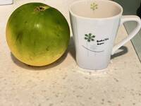 龜吼漁港4顆黃金果988元！彭華幹怒批：連台灣人也坑殺