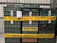 螺絲鬆了？彰化4萬顆芬普尼雞蛋外流台中 王惠美說了6個字