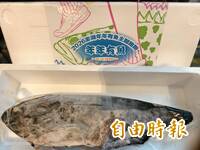 澎湖「年年有魚」路跑開始報名！ 完賽就送1公斤石斑魚