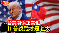 自由觀點》台美關係正常化！川普說我才是老大！