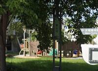 公園溜滑梯驚見「情侶」野戰！家長傻眼：怎麼會是阿公和阿婆？